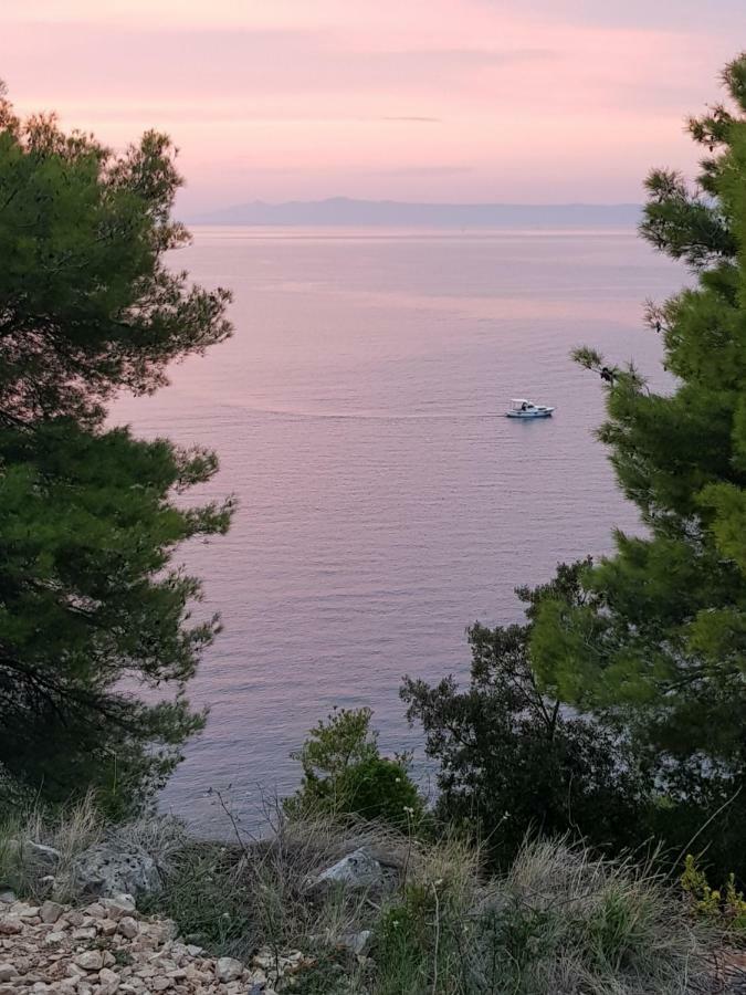 Luxury Apartment Korcula - Villa Sunny Days Екстериор снимка