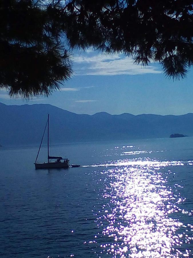 Luxury Apartment Korcula - Villa Sunny Days Екстериор снимка